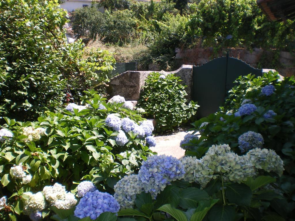 Casa Das Vendas Rom bilde